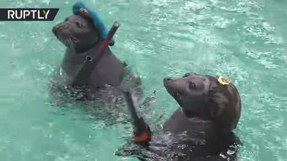  Tito and Lilo twirled in the pool as they enjoyed a day of training