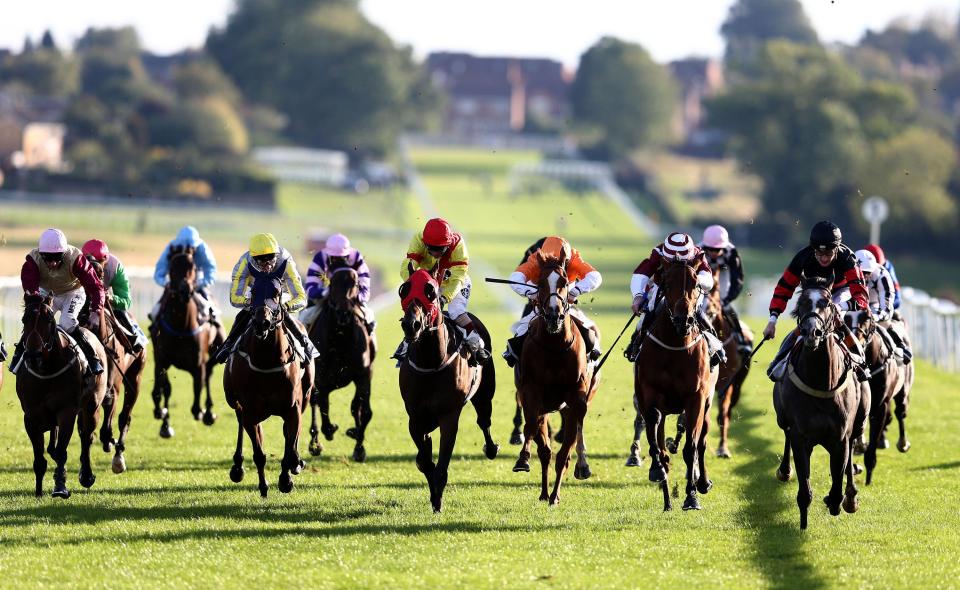 Leicester racecourse