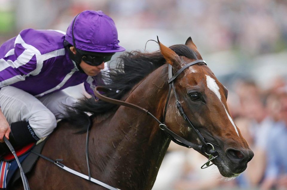 Highland Reel