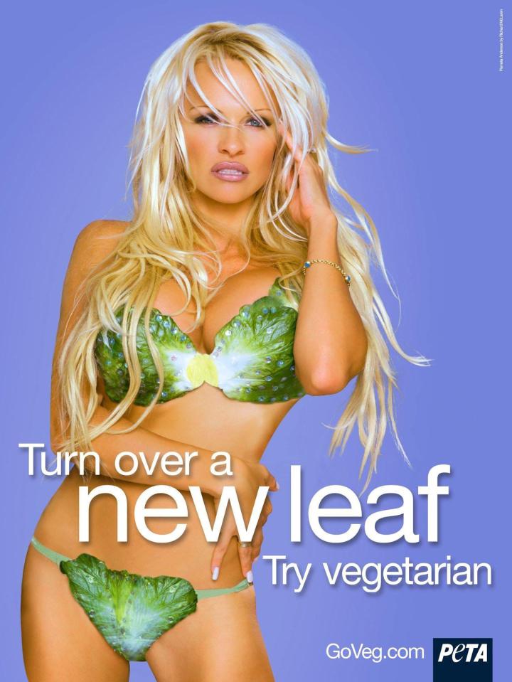  She has used her sexy looks and reputation as a blonde bombshell to bring attention to a number of PETA's campaigns, like this one in 2003