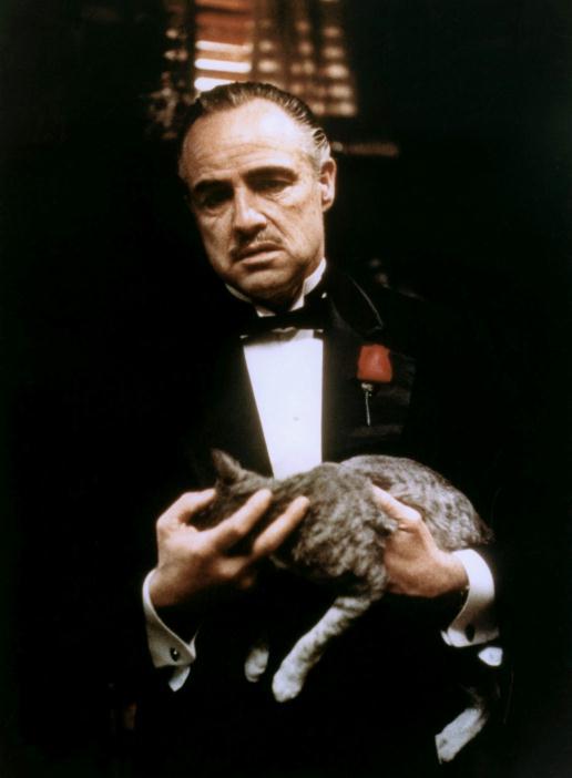  1972 Mafia epic The Godfather starring Marlon Brando has been voted the best film of all time