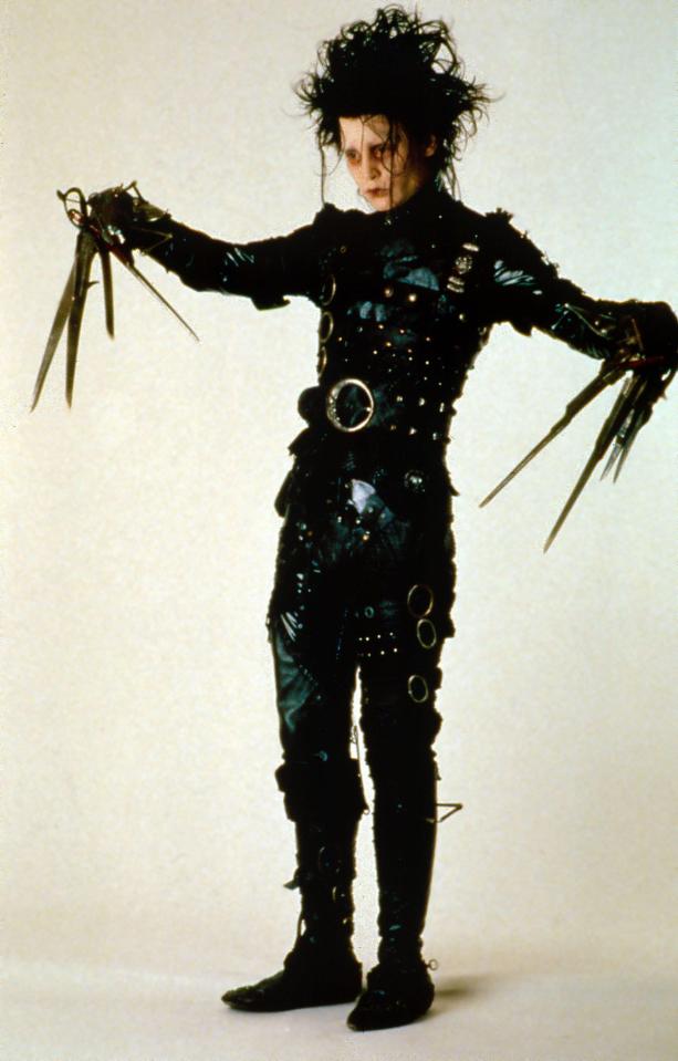  Johnny shot to worldwide fame playing Edward Scissorhands