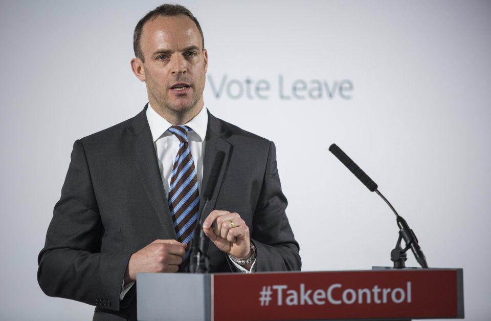  Junior ministers like Dominic Raab have been encouraged to run in any future leadership race