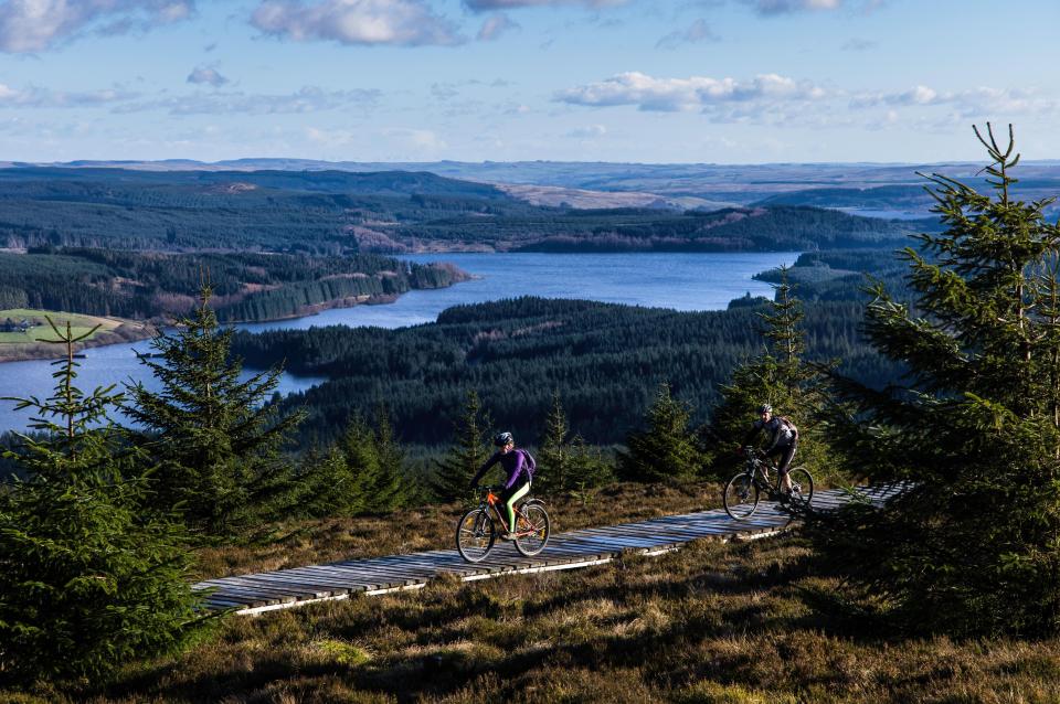 The largest forest in Europe is found in the UK - and the best place for Northern Lights