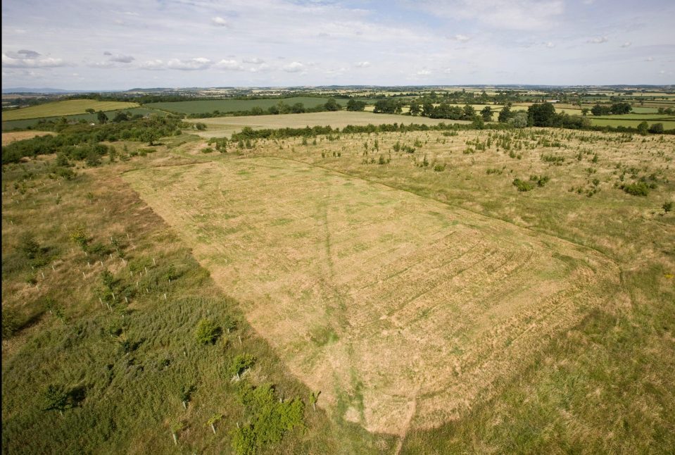  Field of dreams... building your own home is becoming a trend