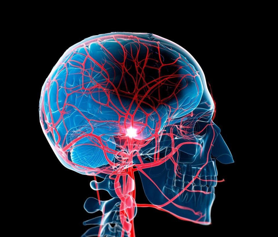  Understanding how the brain works could also assist those with brain injurie, help epilepsy and depression and could even lead to immortality