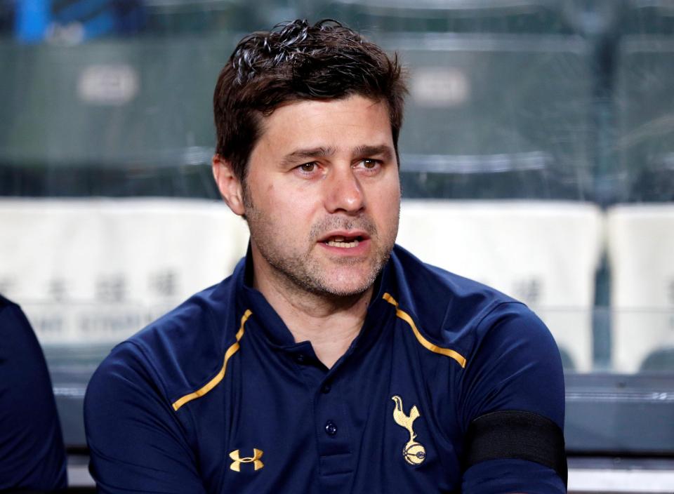 Mauricio Pochettino is set to strengthen an already strong Spurs squad this summer