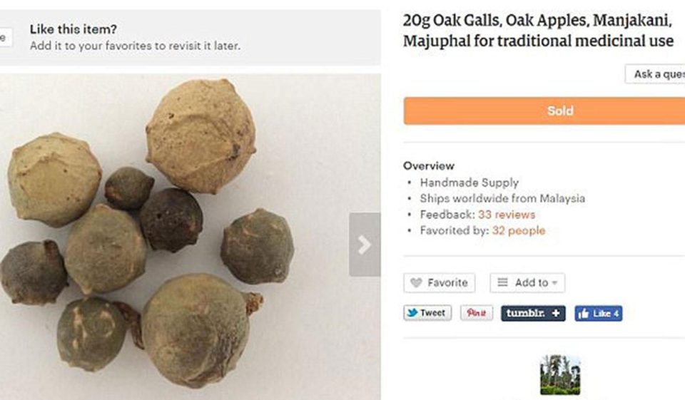  One of the online listings for oak galls - also known as wasps nests- that are being touted as a way of "rejuvenating" the vagina