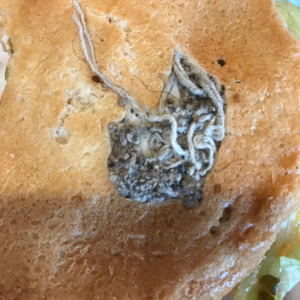 The bun was filled with what looked like filthy cords, hair, and dirty cardboard