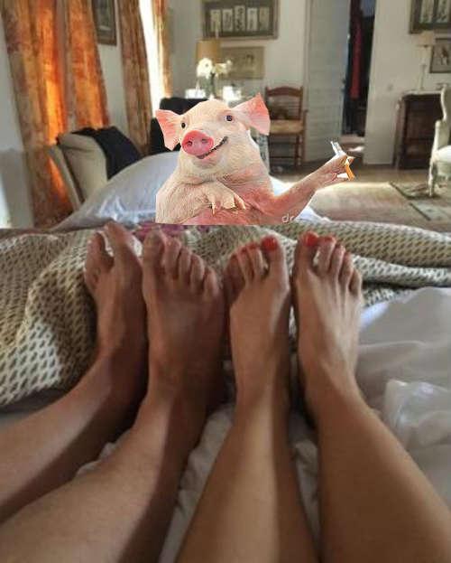  Another showed a pig smoking at the foot of the bed