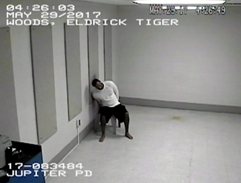  Shocking new footage shows Tiger Woods slumping in a car at the police station