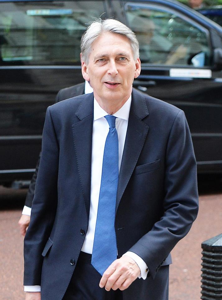  Chief Remainer Philip Hammond has mounted a huge push to water down the Government's Brexit blueprint