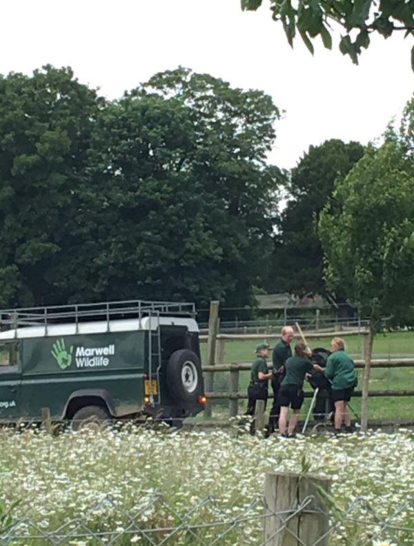  Visitors said they were kept inside the shops and reptile house