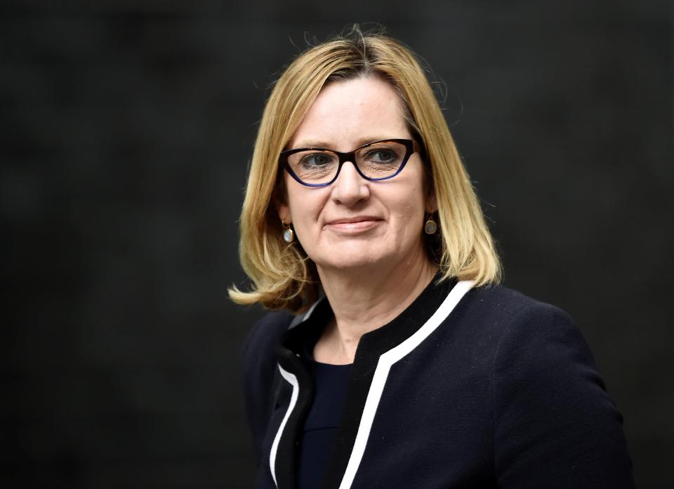  One minister, who will back Amber Rudd, argues she would find it easier to win a ­leadership contest where Brexit is not the defining issue