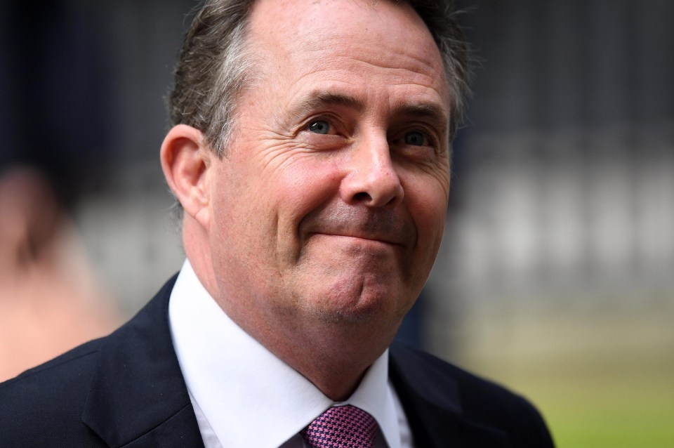 Liam Fox has managed to fight off Cabinet members pushing for a ‘softer Brexit’