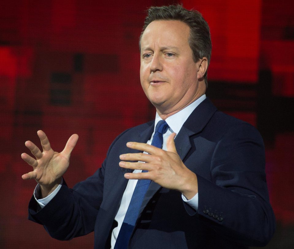  David Cameron suggested last night that the election result could bring a 'softer Brexit'