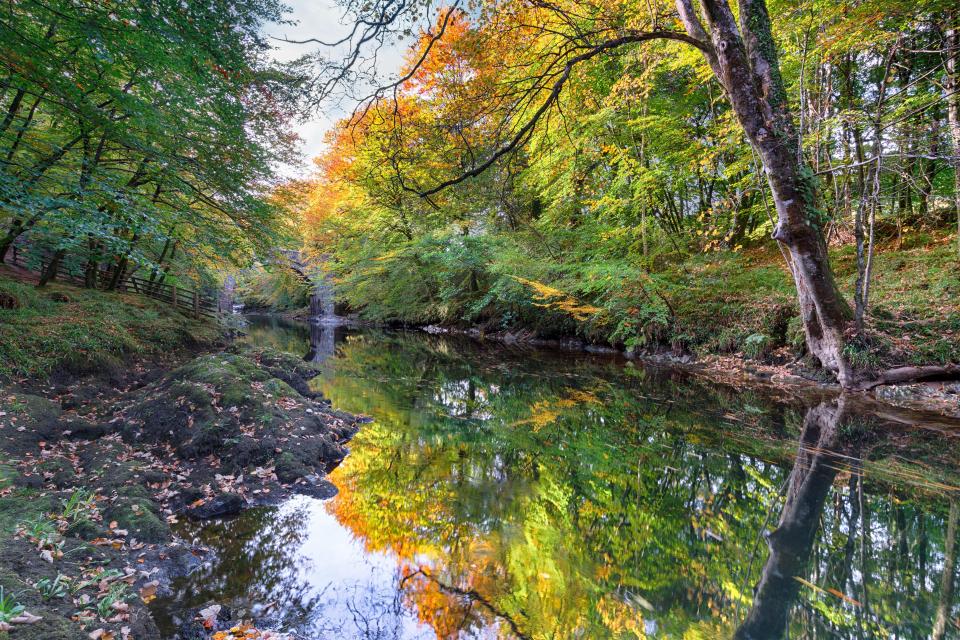  Sea Kayak Devon offers a range of off-grid bushcraft, fishing and kayaking experiences near the banks of the River Dart