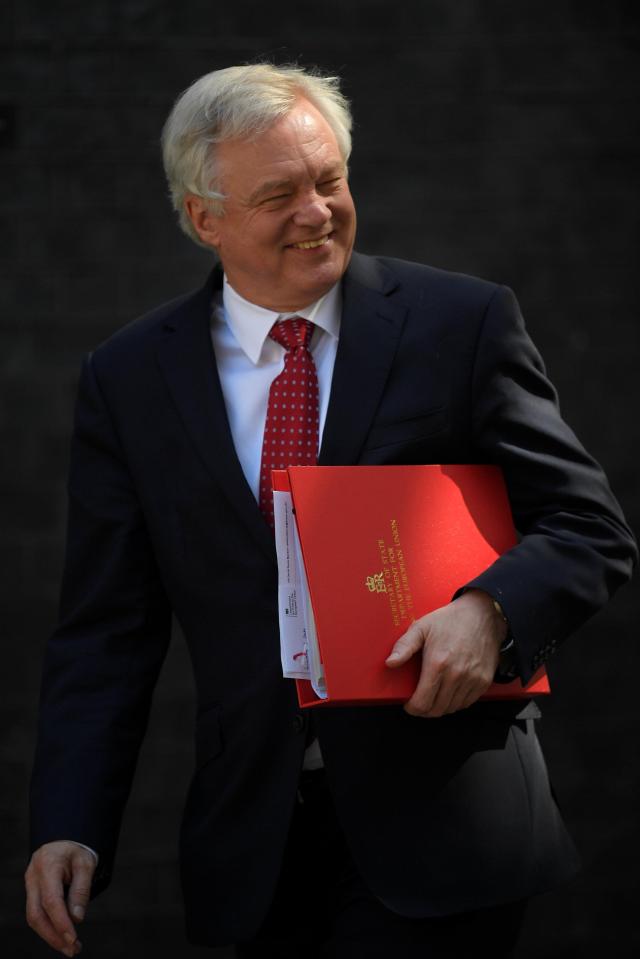  David Davis has been tipped to become the next Conservative leader