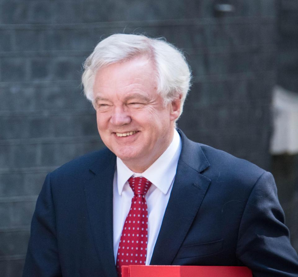 David Davis has managed to secure a key Brexit negotiating deal ahead of Monday's crunch talks 