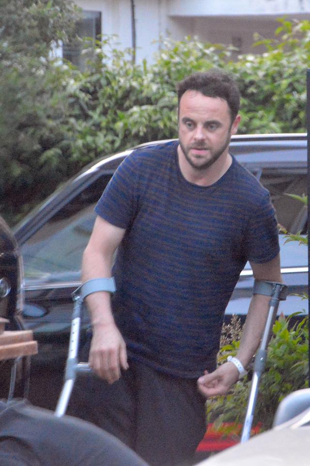 Pals say Ant McPartlin became a 'virtual recluse' as a result of his crippling addiction to drugs and alcohol 