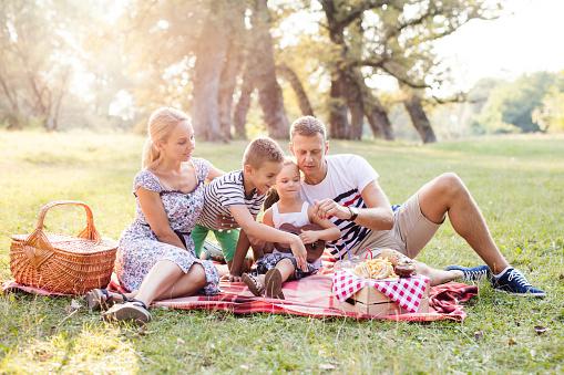 On quarter of Brits surveyed admitted they were concerned about the safety of their picnic food