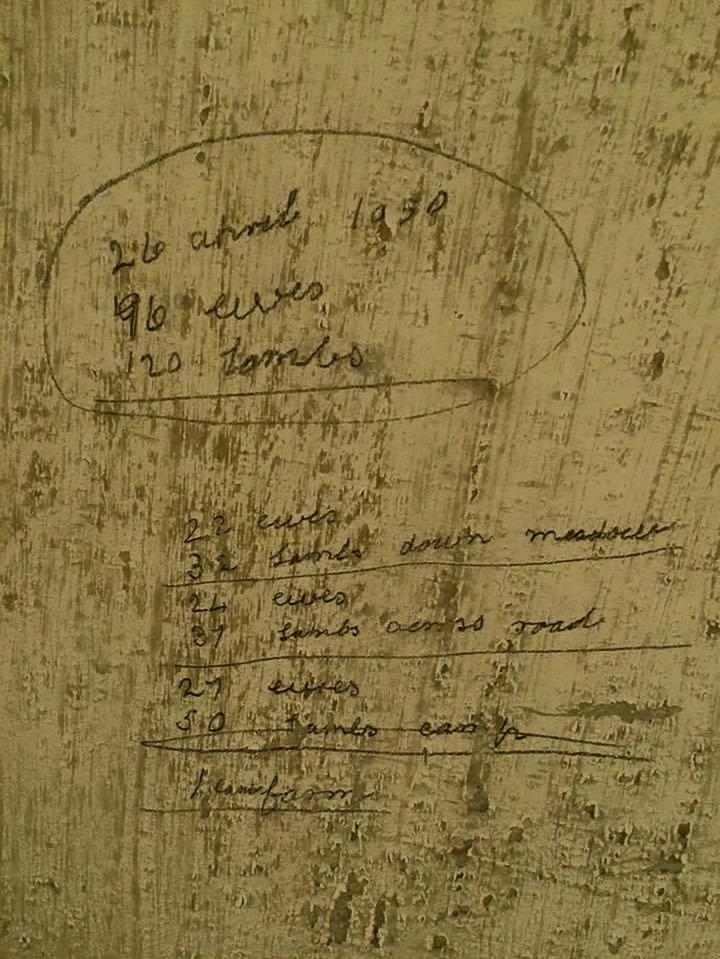  Writing on a wall dated from 1950 discussed farm livestock