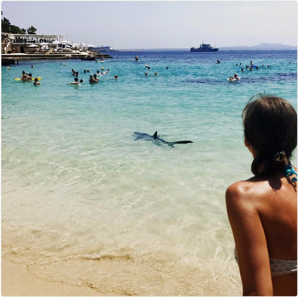  The blue shark sparked mayhem on the Spanish beach leading swimmers to race out of the water