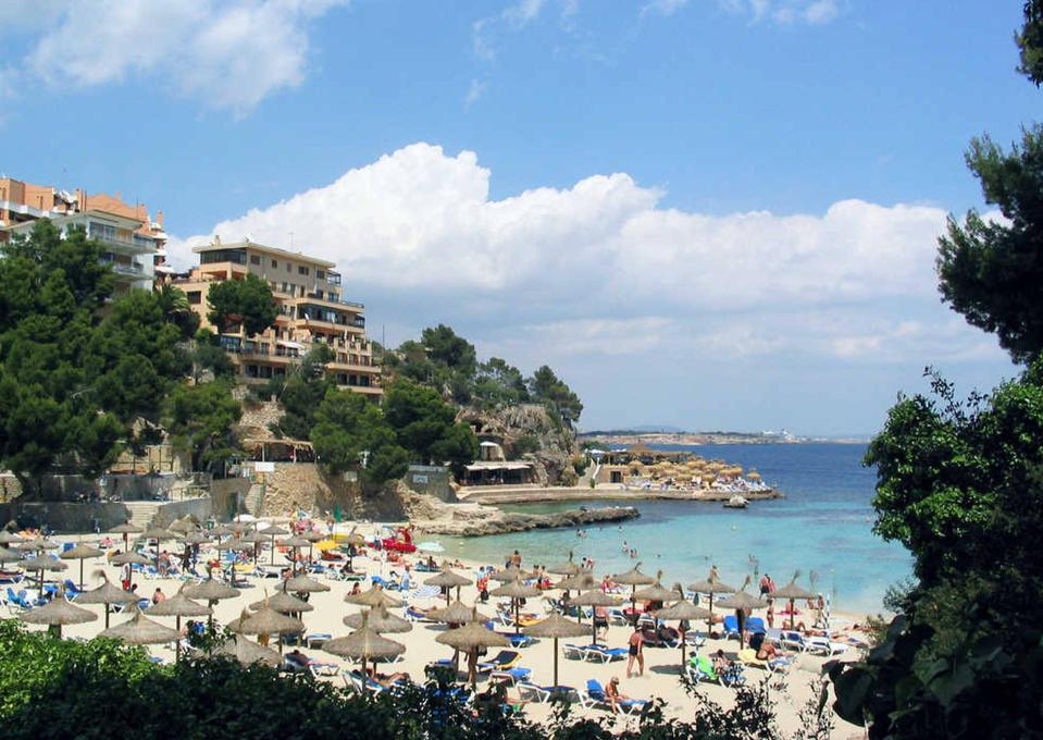  The shark appeared in Illetas which is near popular British tourist spot Magaluf