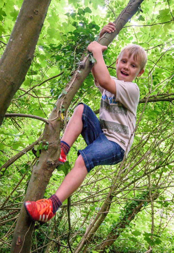  Children are encouraged to climb trees and are allowed ample free play