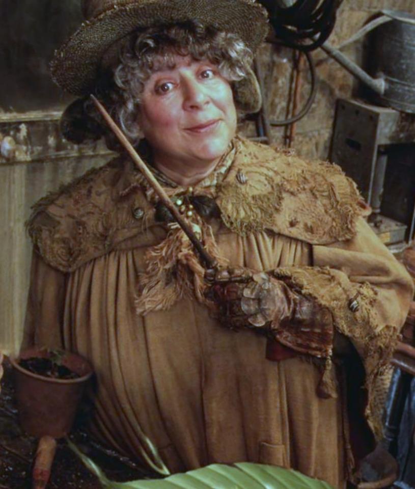  The book reports that Professor Sprout (pictured) was in a long term relationship with Professor Flitwick