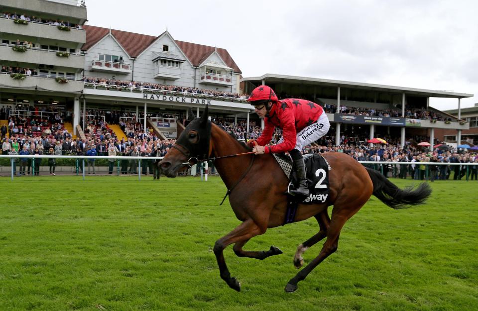  Steve Mullen's main tip of the day comes from Haydock