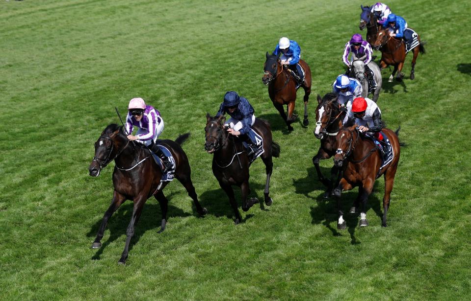  Cliffs Of Moher (second left) may have a crack at the Coral-Eclipse