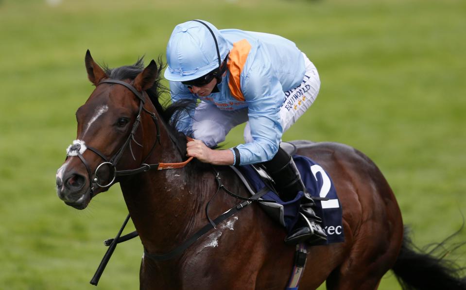  De Bruyne Horse will not run at Newbury