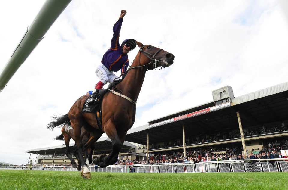  Frankie Dettori won the Irish St Leger on Wicklow Brave last year