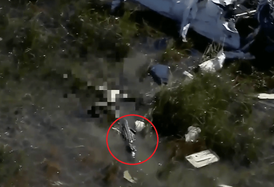  A news crew in a helicopter came across the gruesome scene