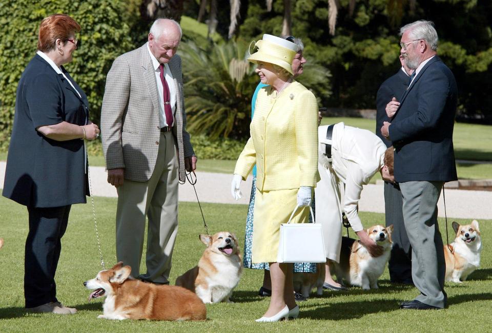  The Queen has asked to keep the dog permanently - meaning her three-strong pack is now a family of four