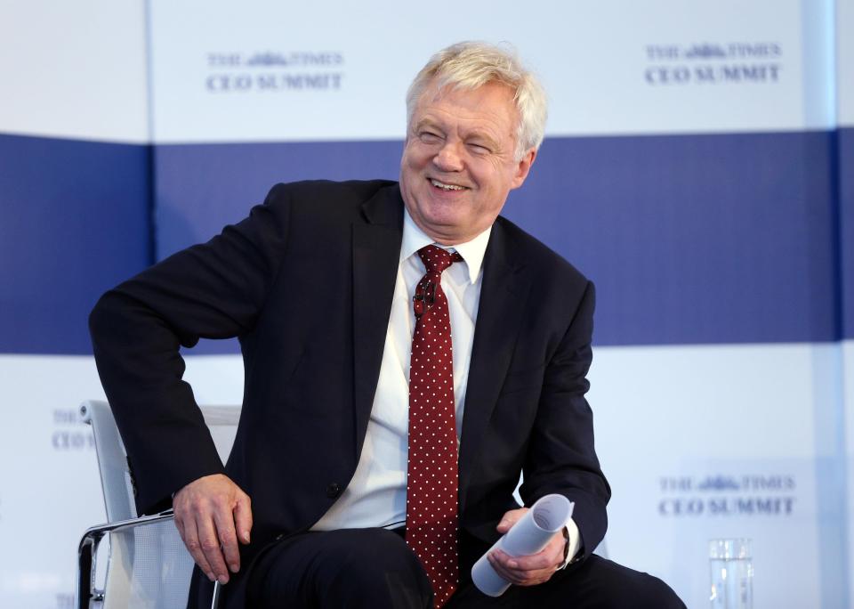  David Davis spent nearly a decade on the backbenches before being appointed Brexit Secretary