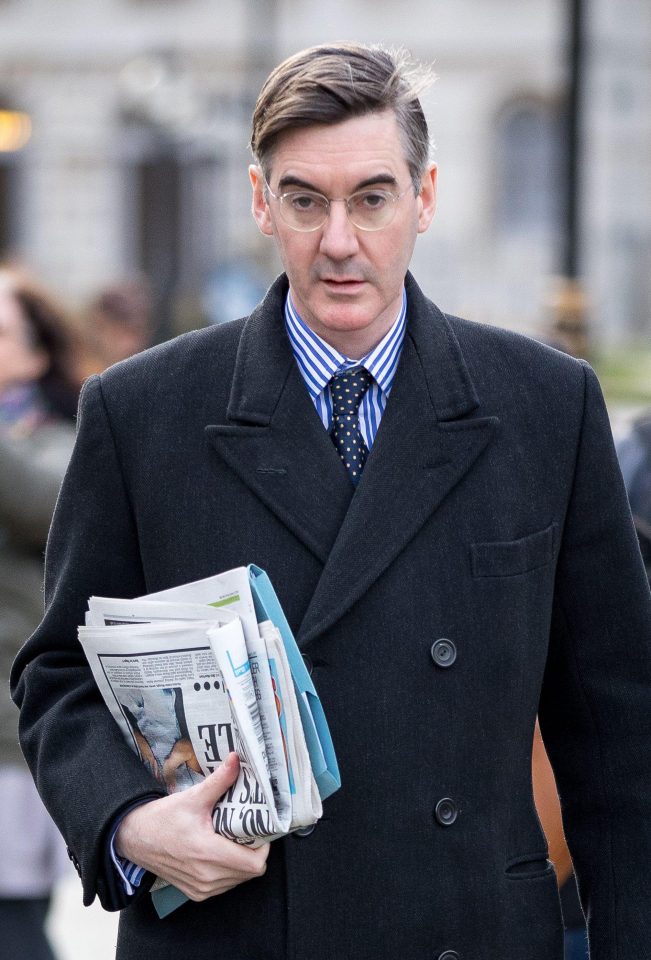 Jacob is a staunch believer in a free press and is the son for the former Times editor William Rees-Mogg