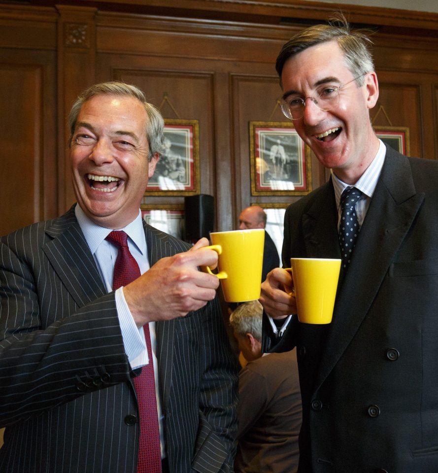 Jacob, pictured here with ex-Ukip leader Nigel Farage, campaigned to leave the European Union