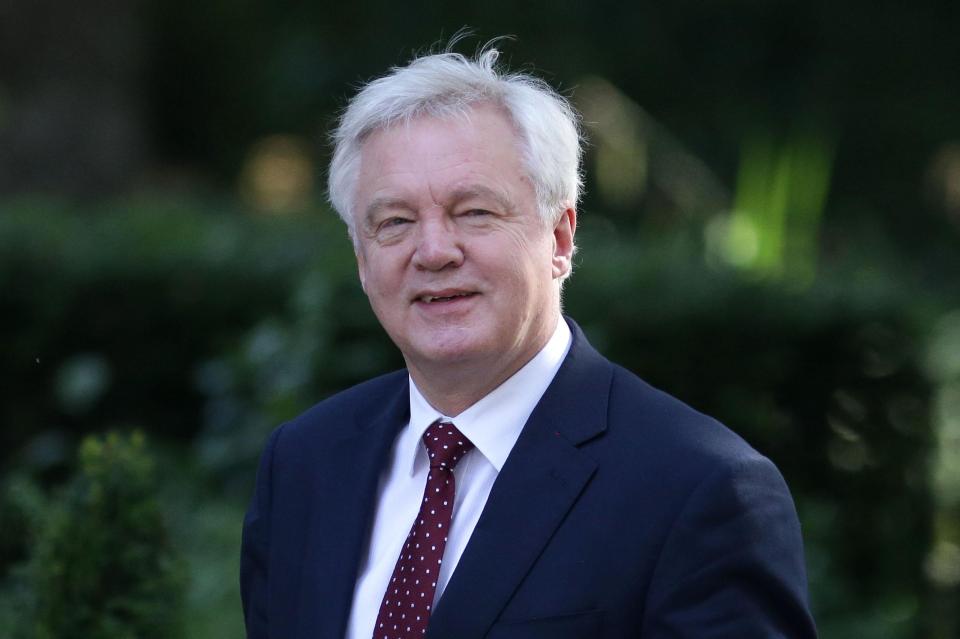  David Davis wanted to push the PM into holding an election, a new book claimed