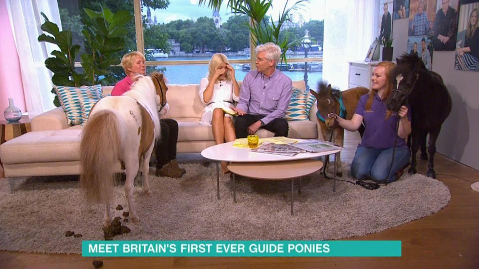  The mucky moment happened during a This Morning segment about Britain's first ever guide ponies