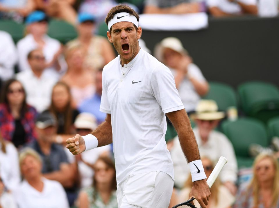  Juan Martin Del Potro is through to round two at Wimbledon