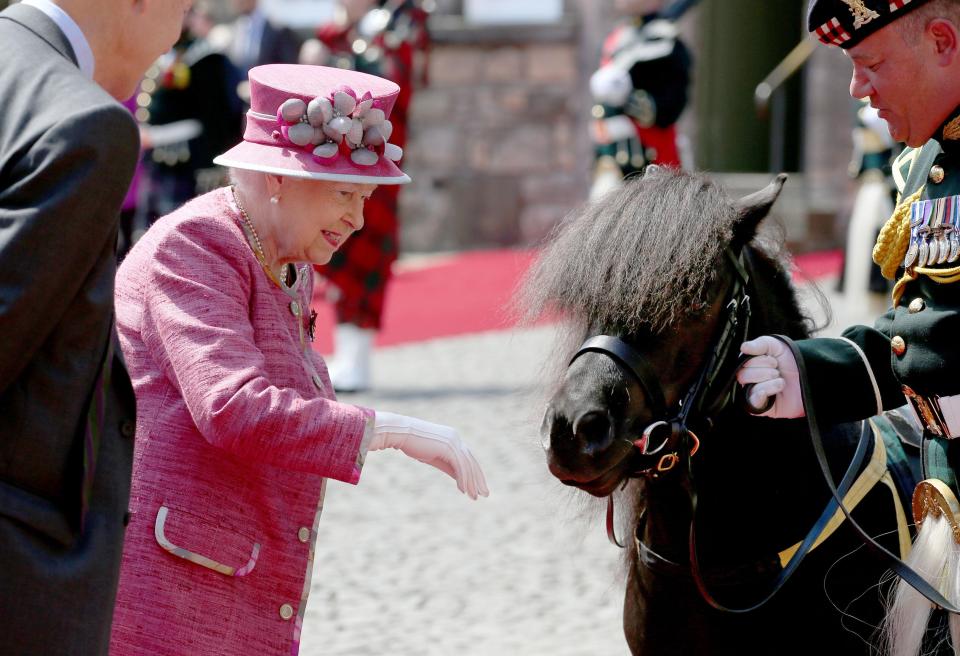  Her Majesty beamed with delight when she was met by the adorable Shetland pony