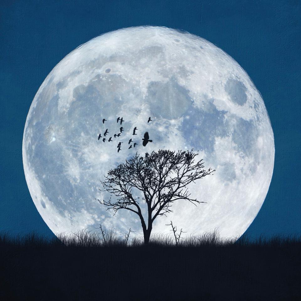  Every 29.5 days, we see the moon's full face and each month's full moon has a special name