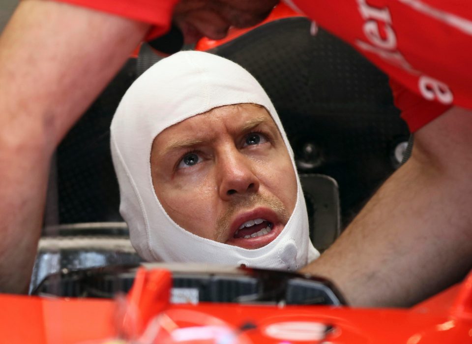  Vettel has admitted his actions were 'immature'