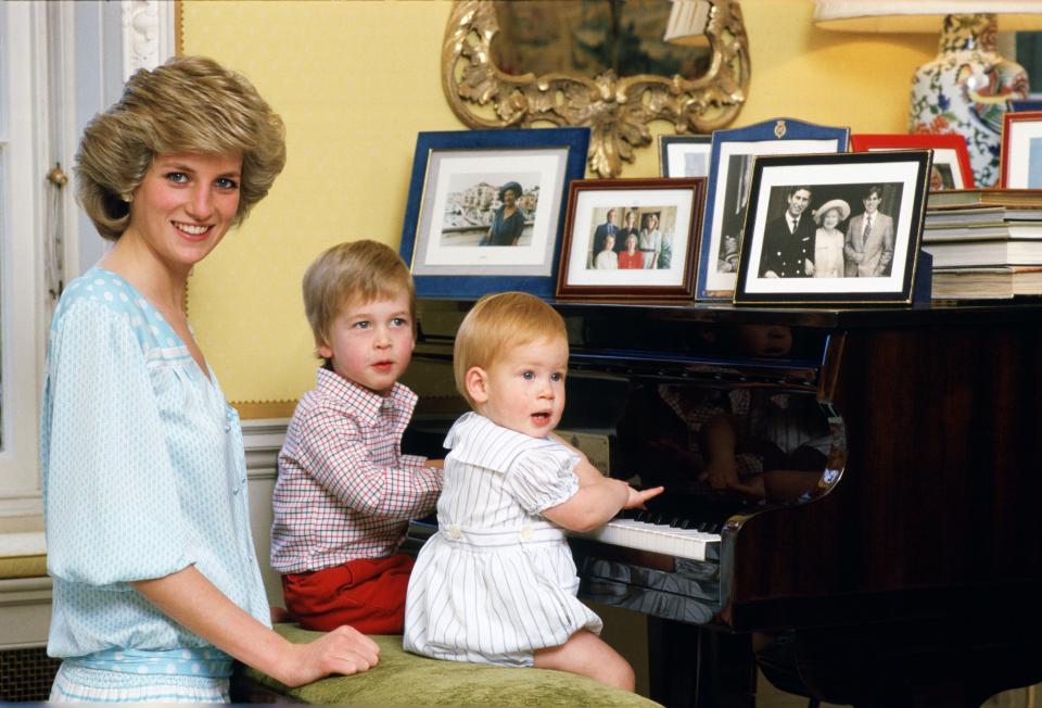  The princes were just children when their mother, Princess Diana, died in a car crash