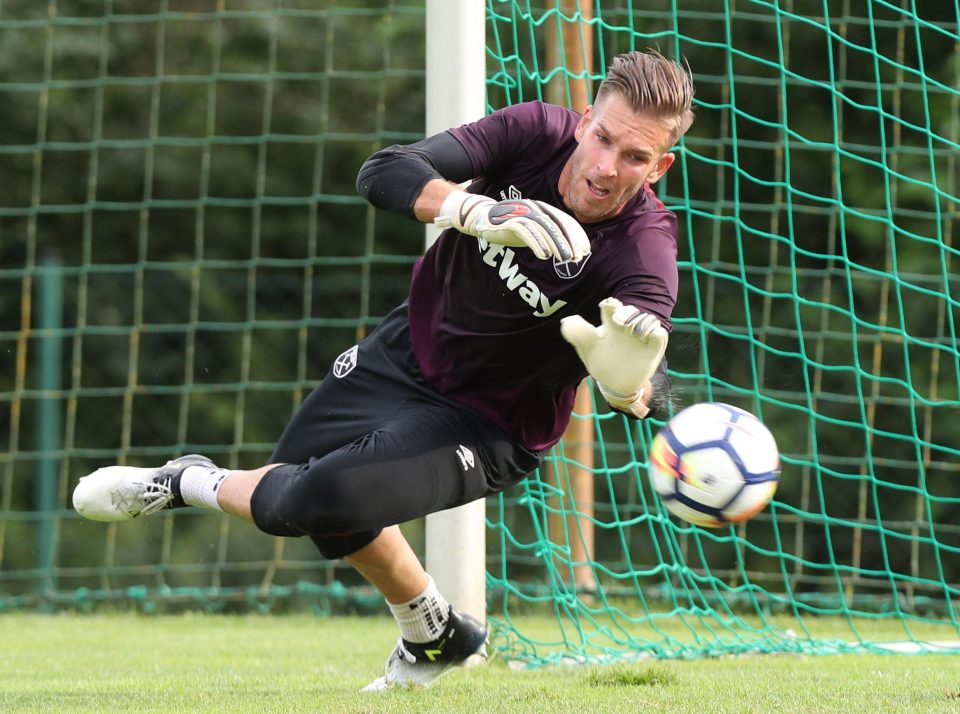  Adrian will likely lose his starting job at West Ham with the arrival of Joe Hart and will look to sign elsewhere