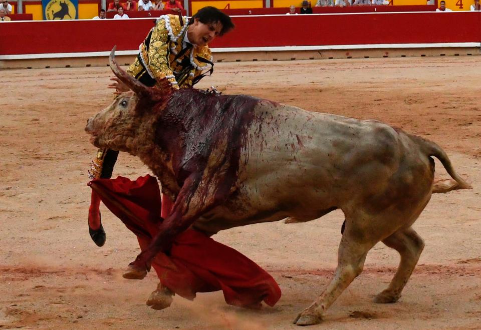 The matador - who is just 20 - has become famous for his dizzying catalogue of injuries 