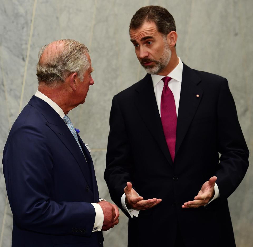  Prince Charles was pictured speaking with Spain's King Felipe