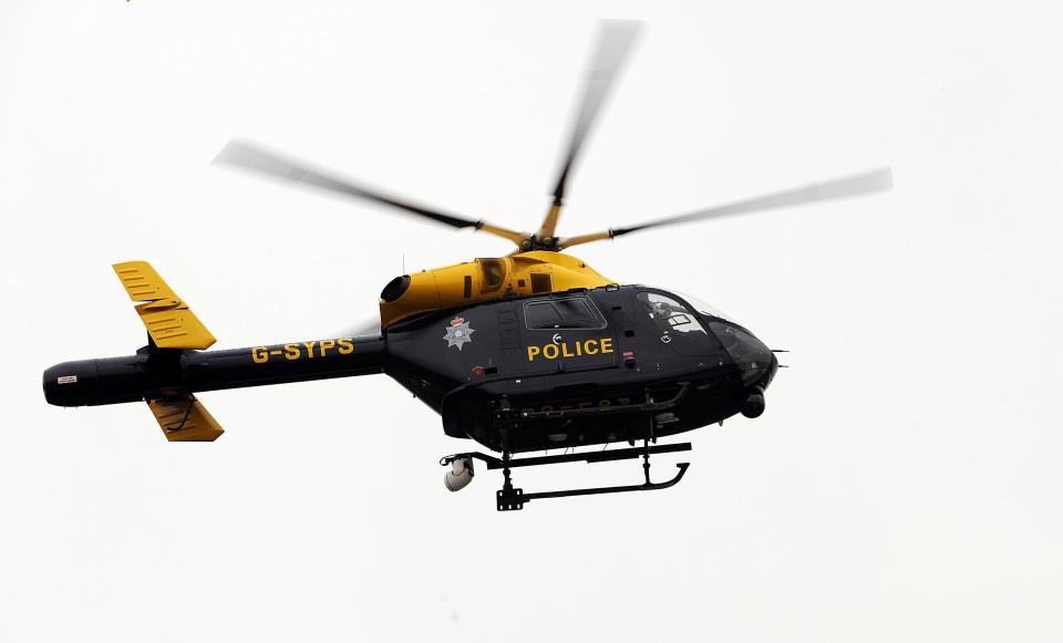  Pogmore used the powerful zoom of police helicopter to zoom in on mother in garden